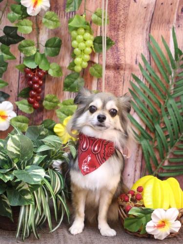 20230826あもちゃん